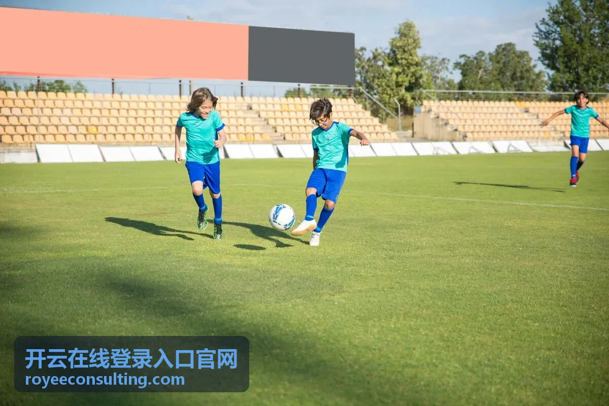 开云在线登录入口官网 桌面浏览器入口核对