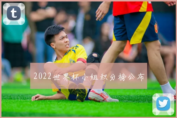 2022世界杯小组积分榜公布