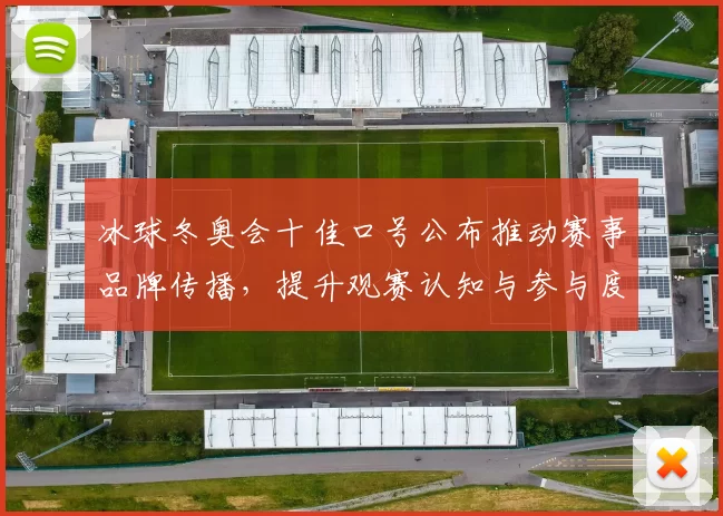 冰球冬奥会十佳口号公布推动赛事品牌传播，提升观赛认知与参与度