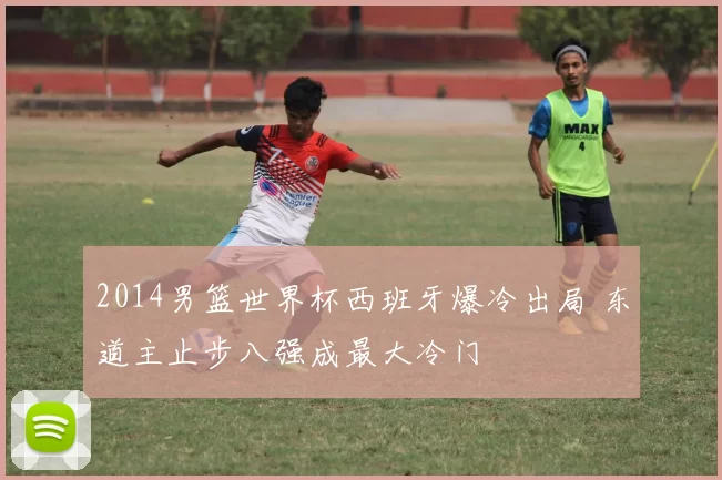 2014男篮世界杯西班牙爆冷出局 东道主止步八强成最大冷门