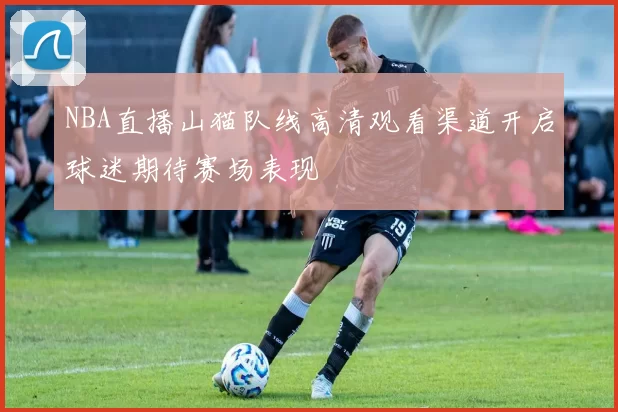 NBA直播山猫队线高清观看渠道开启球迷期待赛场表现
